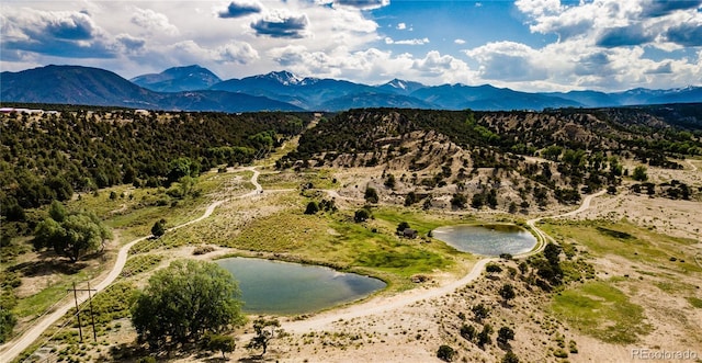 8270 County Road 160, Salida, CO 81201 - photo 5