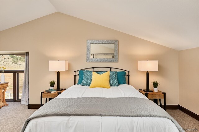 8270 County Road 160, Salida, CO 81201 - photo 31