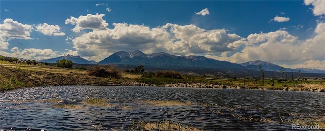 8270 County Road 160, Salida, CO 81201 - photo 45