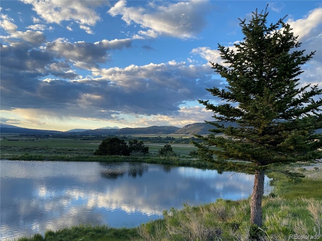 8270 County Road 160, Salida, CO 81201 - photo 46