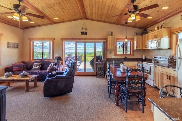 1443 Gcr 49, Grand Lake, CO 80447 - photo 5