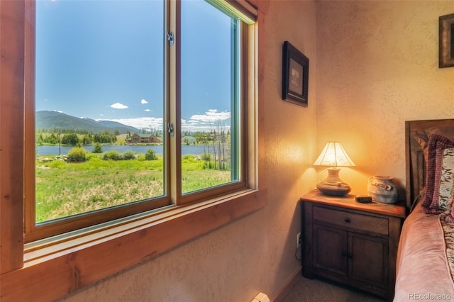 1443 Gcr 49, Grand Lake, CO 80447 - photo 11