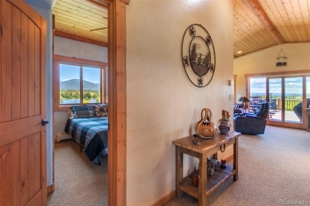 1443 Gcr 49, Grand Lake, CO 80447 - photo 13