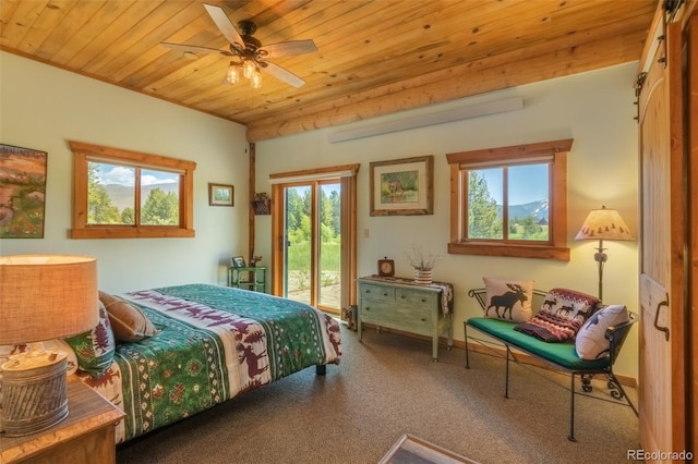 1443 Gcr 49, Grand Lake, CO 80447 - photo 21