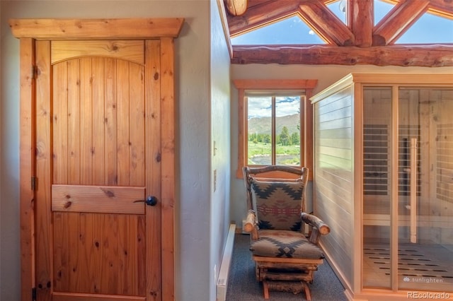 1443 Gcr 49, Grand Lake, CO 80447 - photo 28