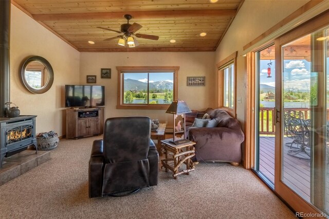 1443 Gcr 49, Grand Lake, CO 80447 - photo 34
