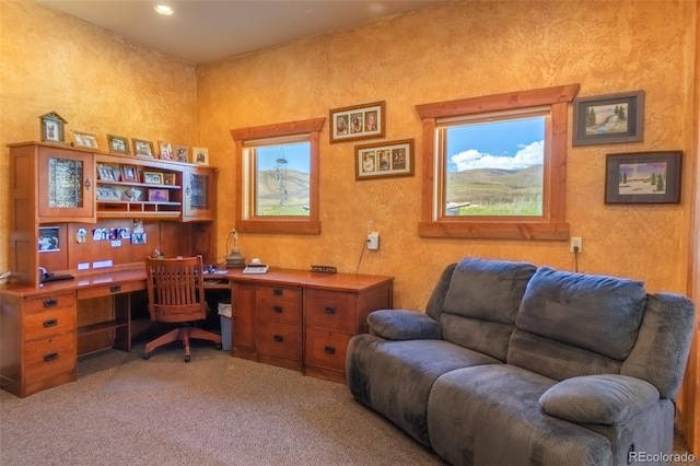 1443 Gcr 49, Grand Lake, CO 80447 - photo 39