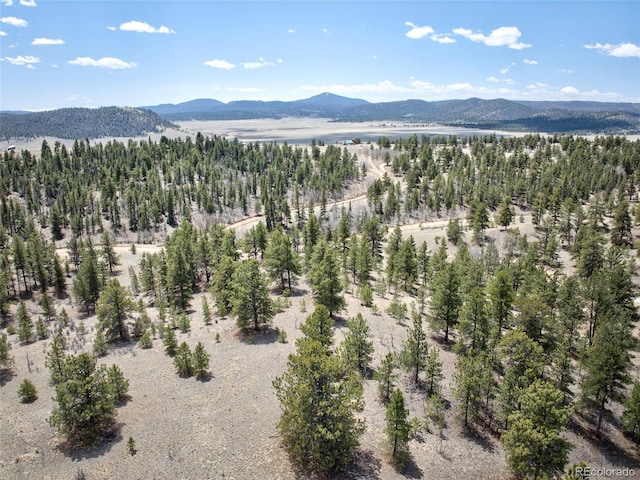 1258 Aspen Trl, Hartsel, CO 80449 - view of mountain backdrop