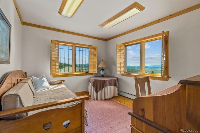 interior space with a baseboard heating unit, ornamental molding, and wood-type flooring