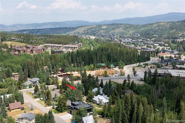 240 Vasquez Rd Unit A-1, Winter Park, CO 80482 - photo 31