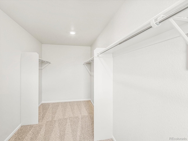 spacious closet with light colored carpet