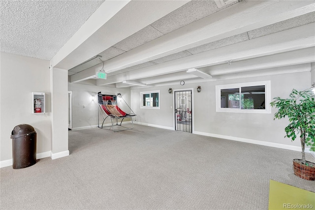 basement with carpet floors and plenty of natural light