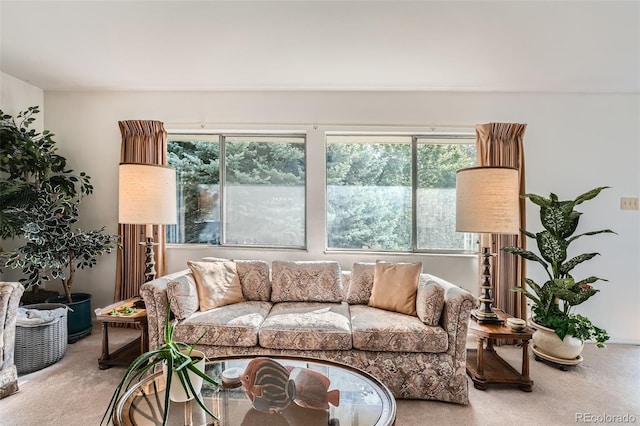 13934 W Warren Dr, Lakewood, CO 80228 - living area with carpet floors
