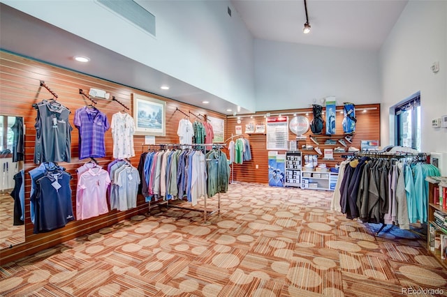 walk in closet featuring a towering ceiling and light carpet