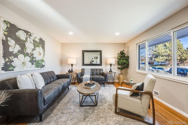 living room featuring hardwood / wood-style flooring