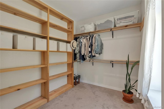 19745 Hopi Pines Grv, Peyton, CO 80831 - walk in closet featuring carpet