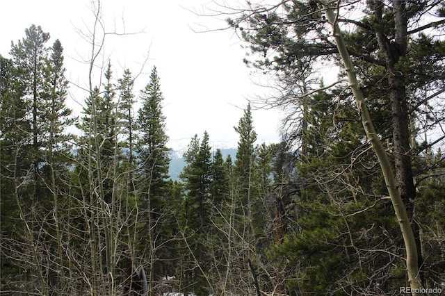 GROUP5 Lamertine Rd, Idaho Springs, CO 80452