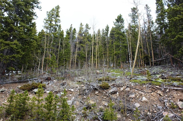 GROUP5 Lamertine Rd, Idaho Springs, CO 80452