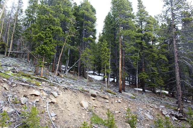 GROUP5 Lamertine Rd, Idaho Springs, CO 80452