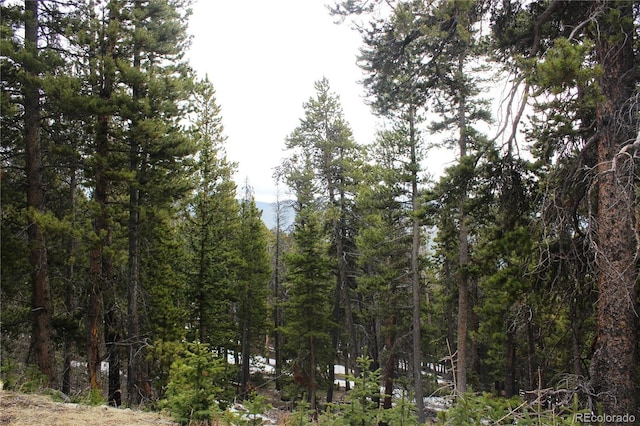 GROUP5 Lamertine Rd, Idaho Springs, CO 80452