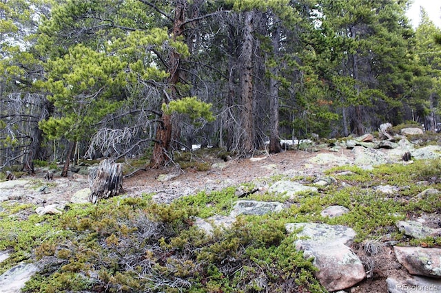 GROUP5 Lamertine Rd, Idaho Springs, CO 80452