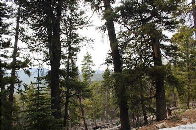 GROUP5 Lamertine Rd, Idaho Springs, CO 80452