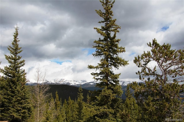 GROUP5 Lamertine Rd, Idaho Springs, CO 80452