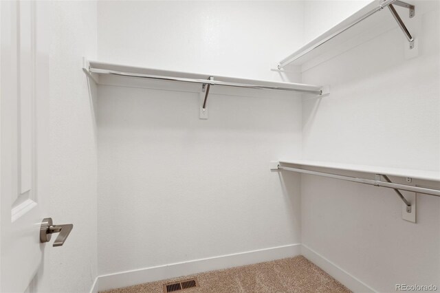 6835 Surrey Trl, Littleton, CO 80125 - photo 21
