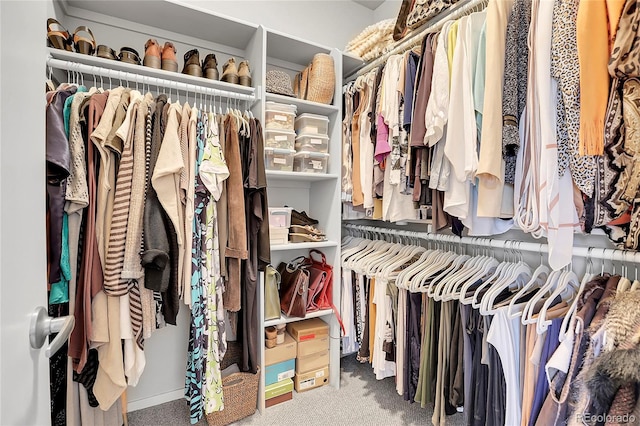 spacious closet with carpet