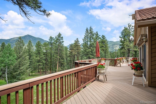 260 Whiskey Jay Hill Rd, Evergreen, CO 80439 - photo 9