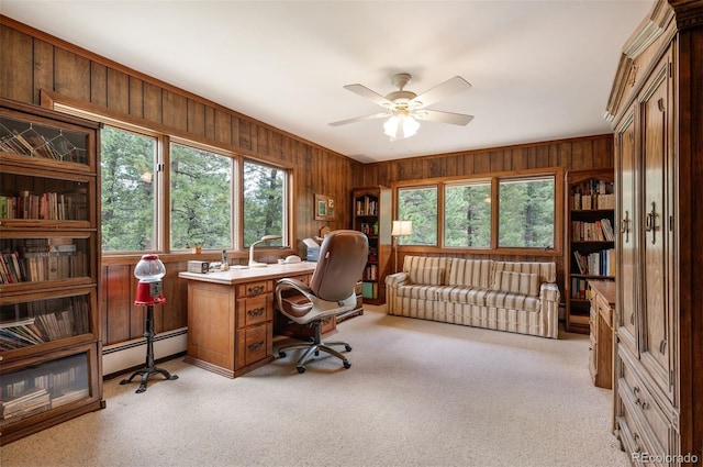 260 Whiskey Jay Hill Rd, Evergreen, CO 80439 - photo 22