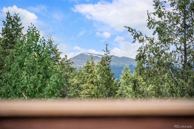 260 Whiskey Jay Hill Rd, Evergreen, CO 80439 - photo 29