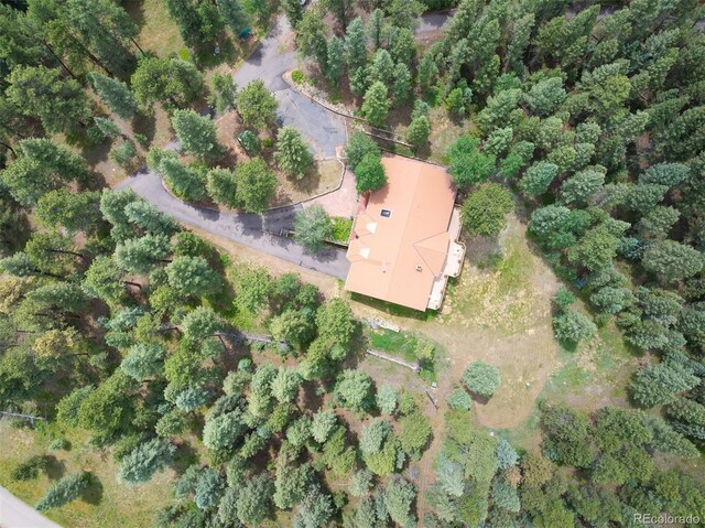 260 Whiskey Jay Hill Rd, Evergreen, CO 80439 - photo 31