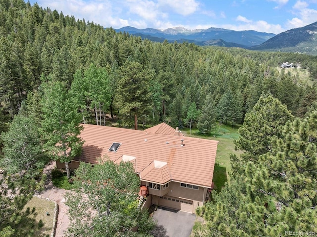 260 Whiskey Jay Hill Rd, Evergreen, CO 80439 - photo 36