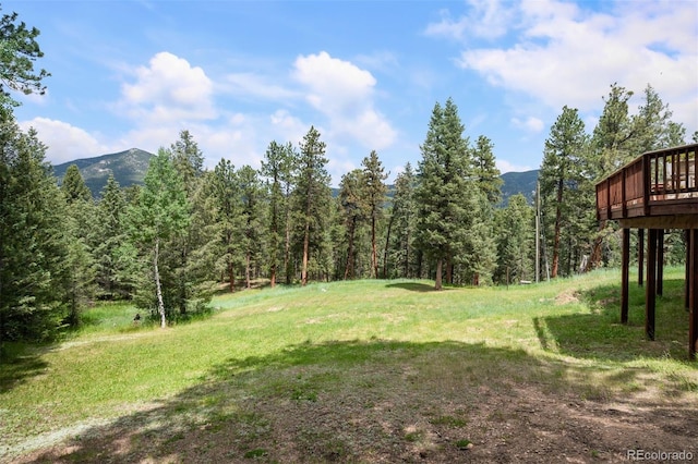260 Whiskey Jay Hill Rd, Evergreen, CO 80439 - photo 37