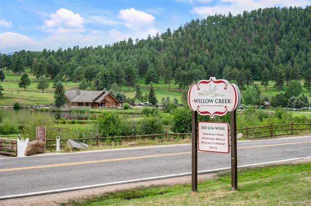 260 Whiskey Jay Hill Rd, Evergreen, CO 80439 - photo 41