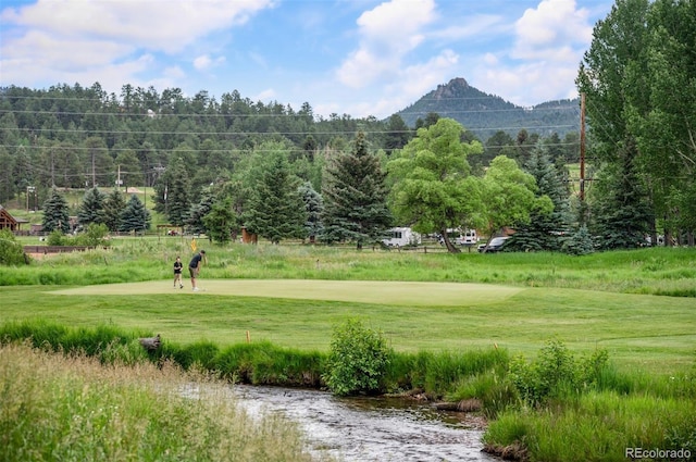 260 Whiskey Jay Hill Rd, Evergreen, CO 80439 - photo 45