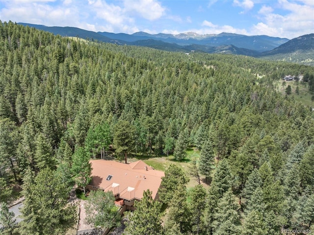 260 Whiskey Jay Hill Rd, Evergreen, CO 80439 - photo 48