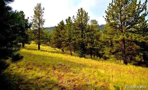 Isabel Claim, Cripple Creek CO, 80813 land for sale