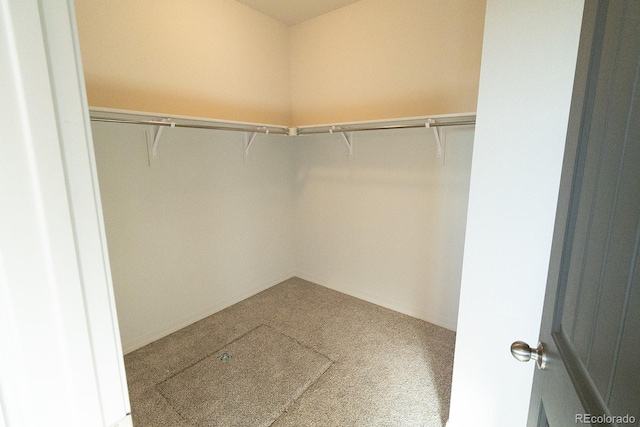 walk in closet with carpet