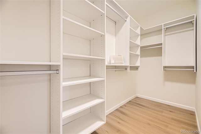 spacious closet featuring hardwood / wood-style floors