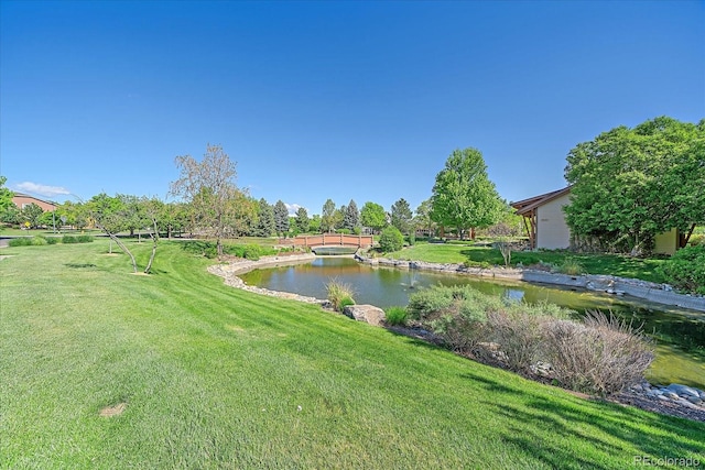 6673 S Benton St, Littleton, CO 80123 - photo 27