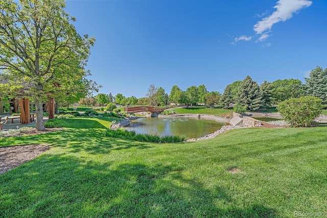 6673 S Benton St, Littleton, CO 80123 - photo 28