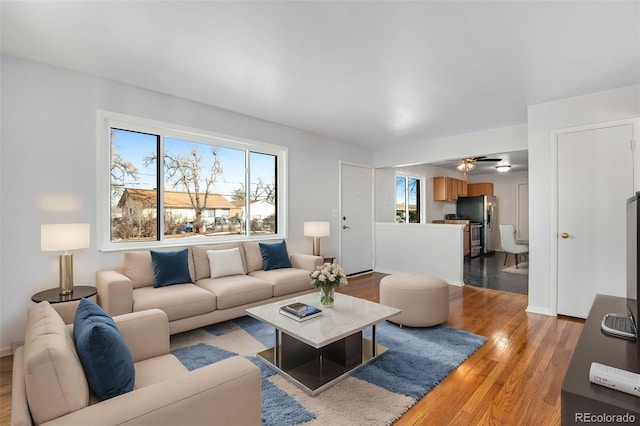 living room featuring light hardwood / wood-style floors