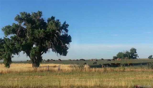 18510 County Road 39, La Salle, CO 80645 - photo 27
