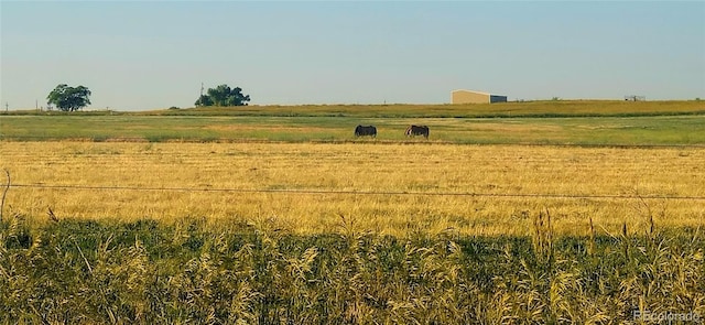18510 County Road 39, La Salle, CO 80645 - photo 35