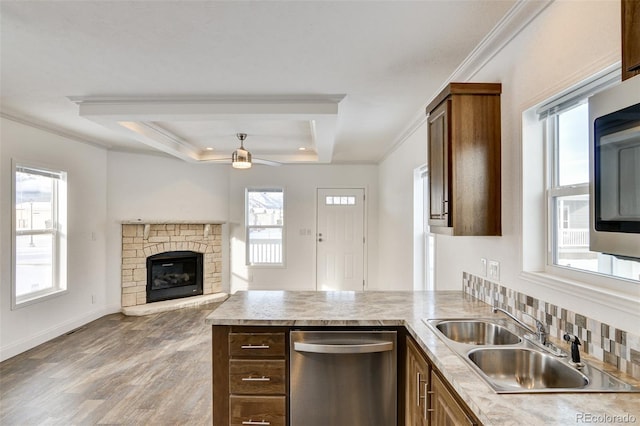 kitchen featuring sink, a healthy amount of sunlight, stainless steel appliances, a raised ceiling, and crown molding