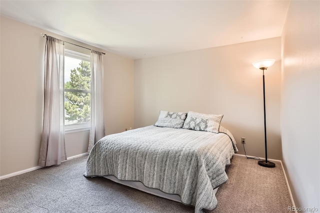 8851 Sundrop Way, Highlands Ranch, CO 80126 - photo 16