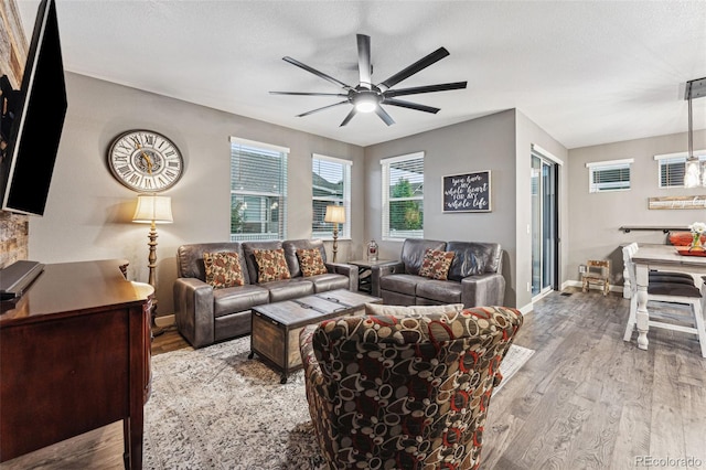 living room with light hardwood / wood-style floors and ceiling fan