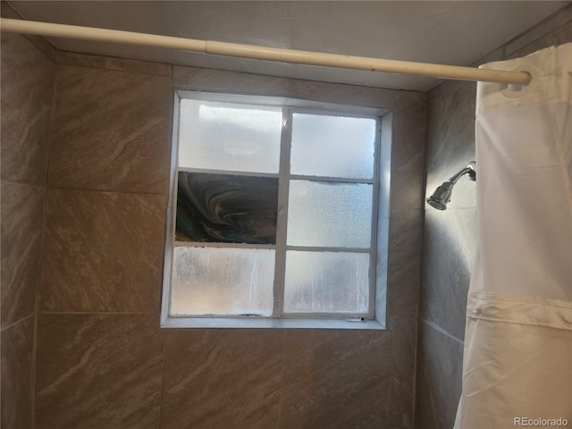 1822 E Pikes Peak Ave, Colorado Springs, CO 80909 - bathroom view of a shower